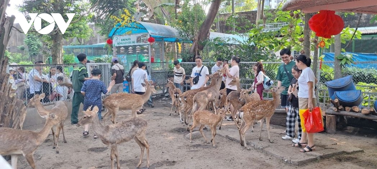 Các điểm vui chơi ở TP.HCM kín chỗ, lượng khách tăng 20%